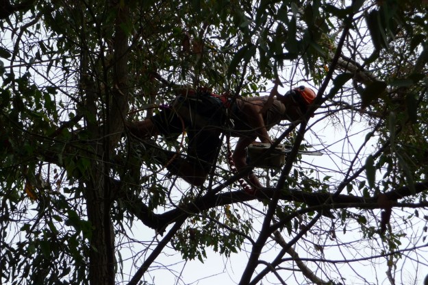 Yes, this is the right way up!