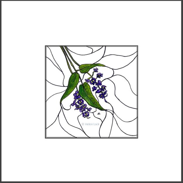 Square Framed Native Wisteria 10cm image JPEG