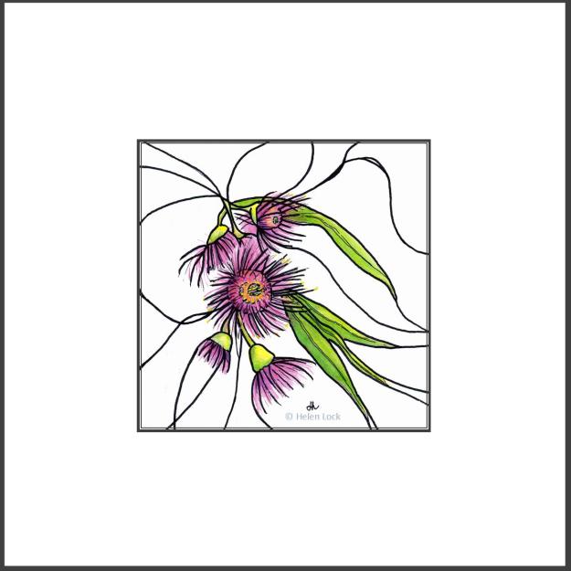 Pink Flowering Gum at Balligar