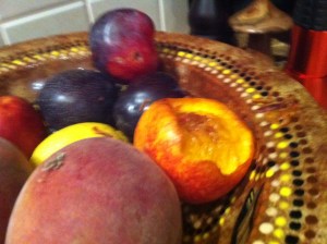 Nocturnal Visitor - With A Preference for Nectarines