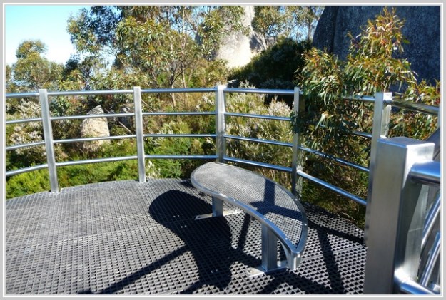 Karri Lookout Below The Skywalk
