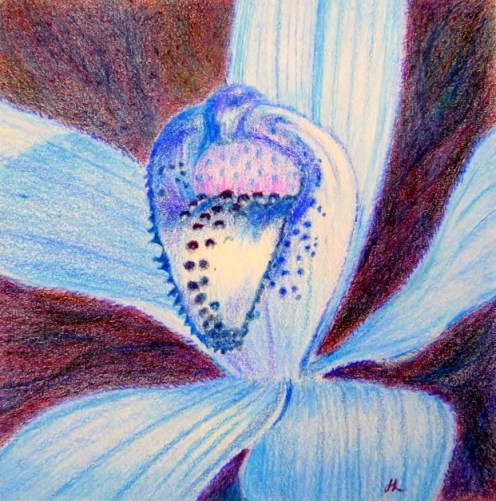Silky Blue Orchid by Helen Lock