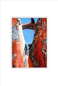 Up Close and Personal - #Inktober 20