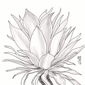 Agave Symmetry - #Inktober 23