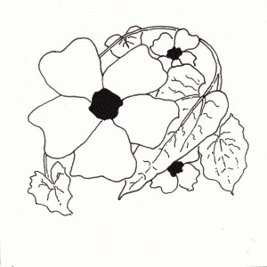 Black Eyed Susan - #Inktober 14