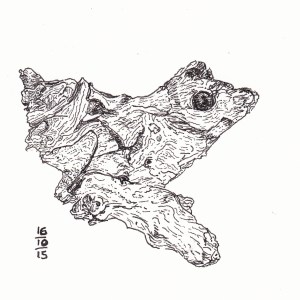 Tree Frog - #Inktober 16
