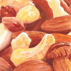 Spicy Nuts illustration - Helen Lock
