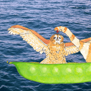 Today Special - by Helen Lock