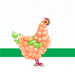 Apricot Chicken PS BG PNG