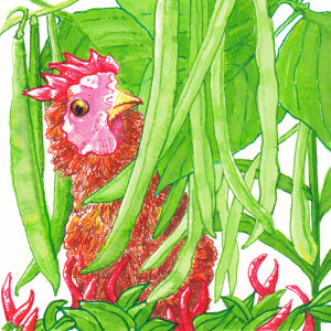 Chicken n Green Bean Curry PS PNG