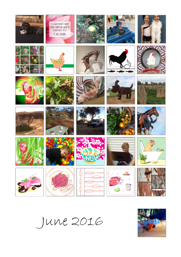 2016 June Collage PNG