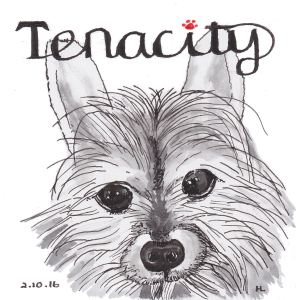 Tenacity - #Inktober2016