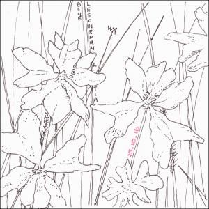 Walk Alone - #Inktober2016