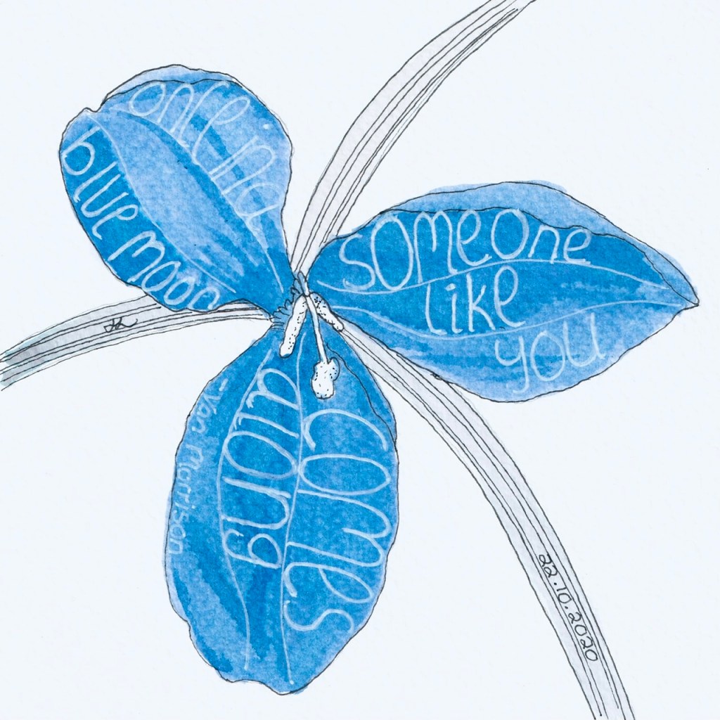 Purple Lily - Patersonia Occidentalis - Western Australian wildflower - #Inktober2020 Day 22 - Helen Lock