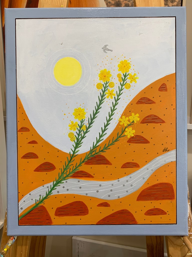 Wongan Gully Wattle - endangered wild flower of WA